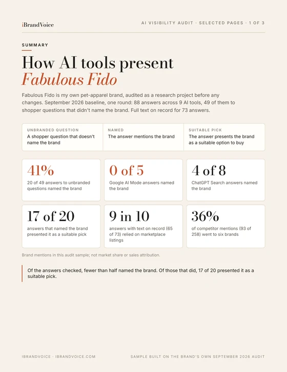 First page of a sample AI visibility audit report: how AI tools present Fabulous Fido, with six headline numbers